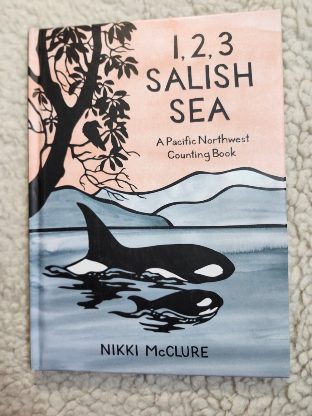 Nikki McCLURE 1 2 3 Salish Sea Pacific Northwest Counting Book Hardcover Kids